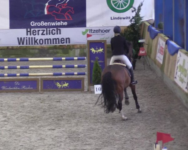 Reitturnier Großenwiehe 2022