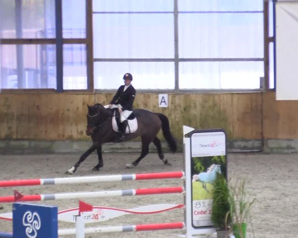 Reitturnier Großenwiehe 2022