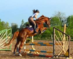 broodmare Anka (Saxony-Anhaltiner, 2001, from Askari)