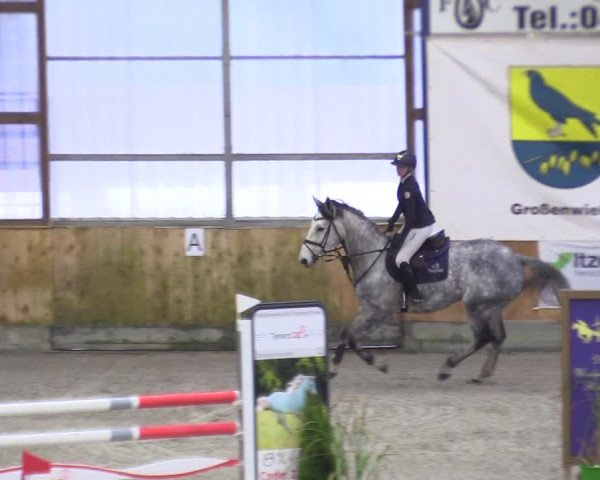 Reitturnier Großenwiehe 2022