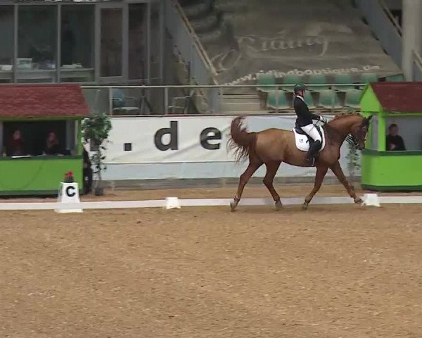 Reitturnier Kreuth/Opf. 2022