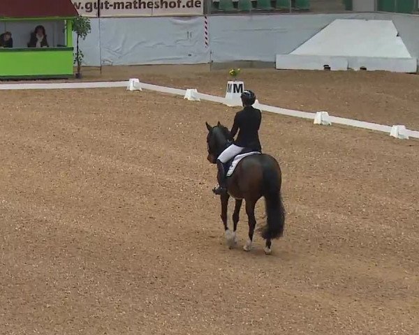 Reitturnier Kreuth/Opf. 2022