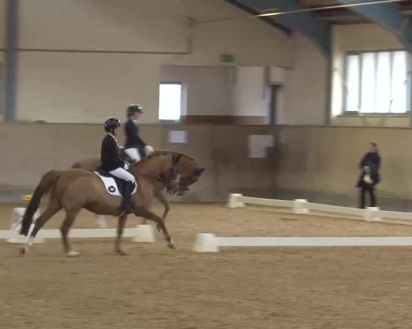 Reitturnier Kreuth/Opf. 2022