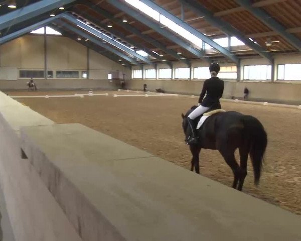 Reitturnier Kreuth/Opf. 2022