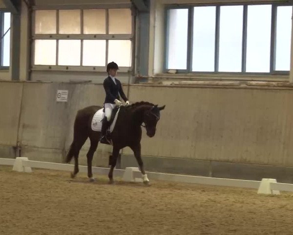 Reitturnier Kreuth/Opf. 2022