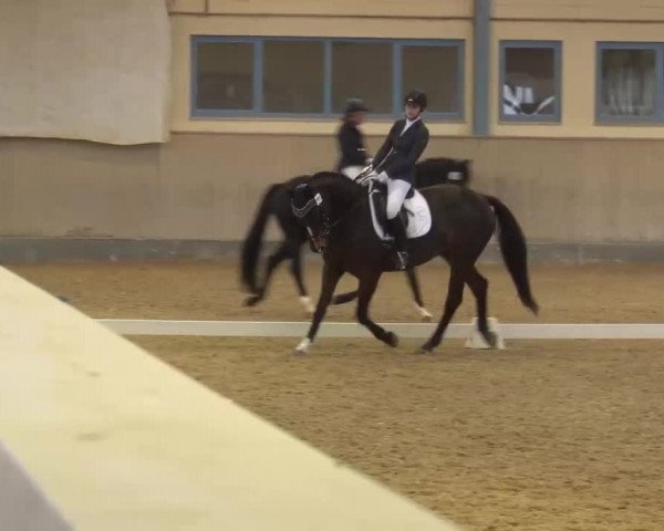 Reitturnier Kreuth/Opf. 2022