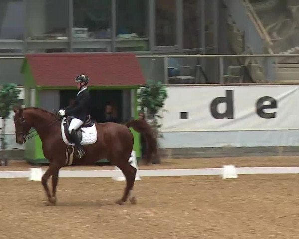 Reitturnier Kreuth/Opf. 2022