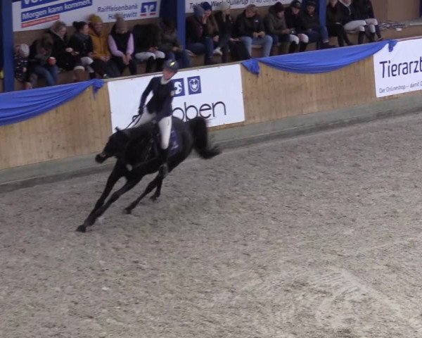 Reitturnier Großenwiehe 2022