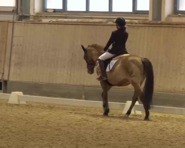 Reitturnier Kreuth/Opf. 2022