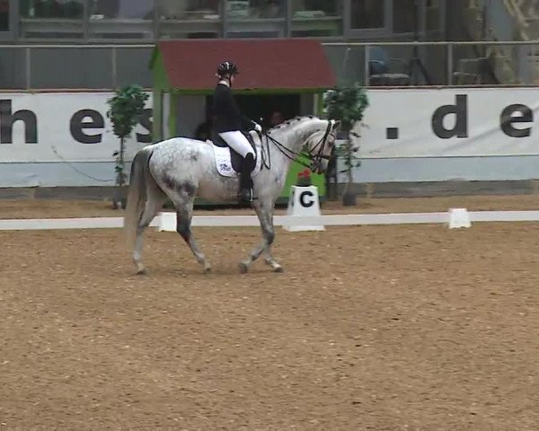 Reitturnier Kreuth/Opf. 2022