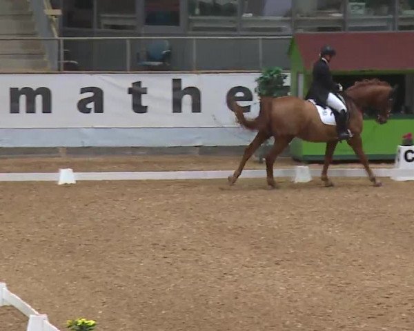 Reitturnier Kreuth/Opf. 2022
