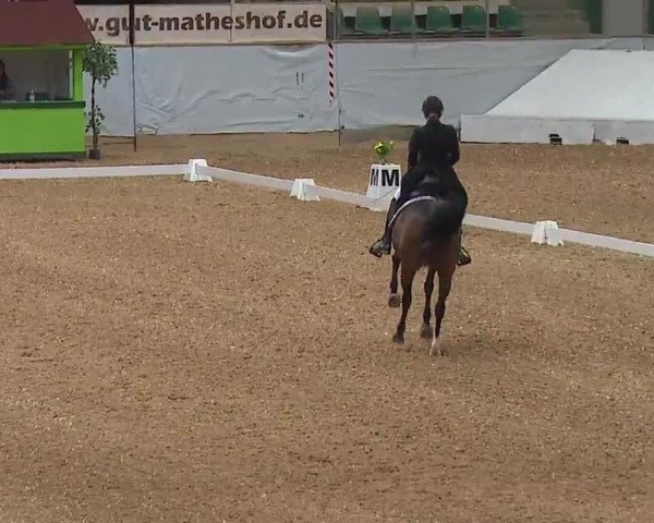 Reitturnier Kreuth/Opf. 2022
