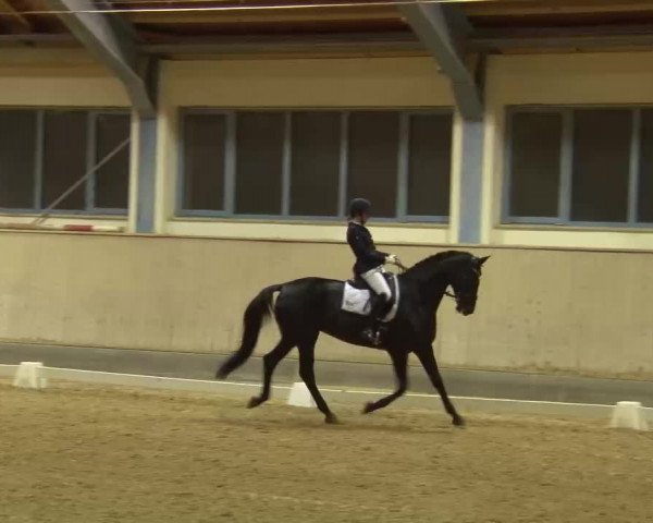 Reitturnier Kreuth/Opf. 2022