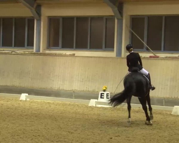 Reitturnier Kreuth/Opf. 2022