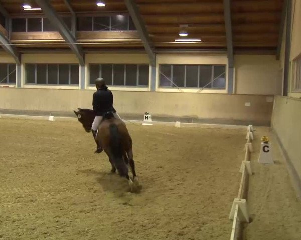 Reitturnier Kreuth/Opf. 2022
