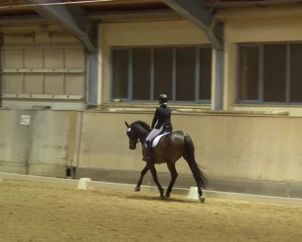 Reitturnier Kreuth/Opf. 2022