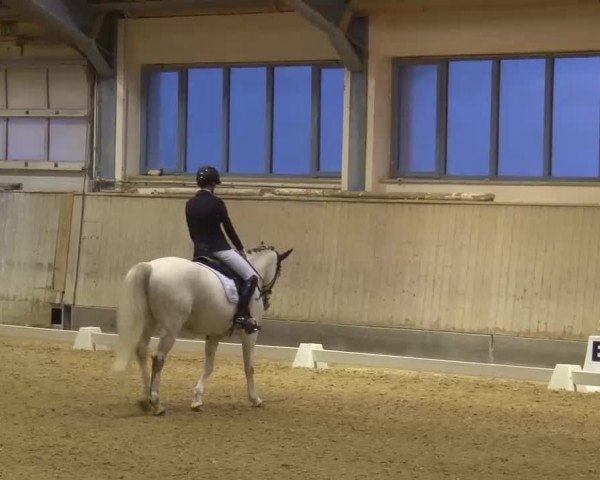 Reitturnier Kreuth/Opf. 2022
