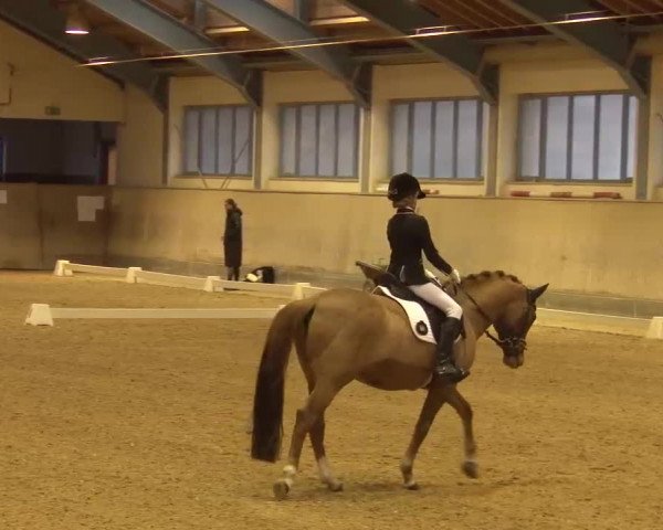 Reitturnier Kreuth/Opf. 2022