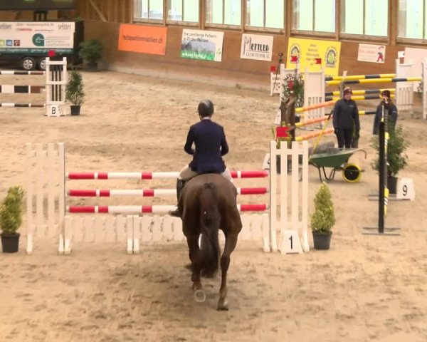 Reitturnier Rüti 2022