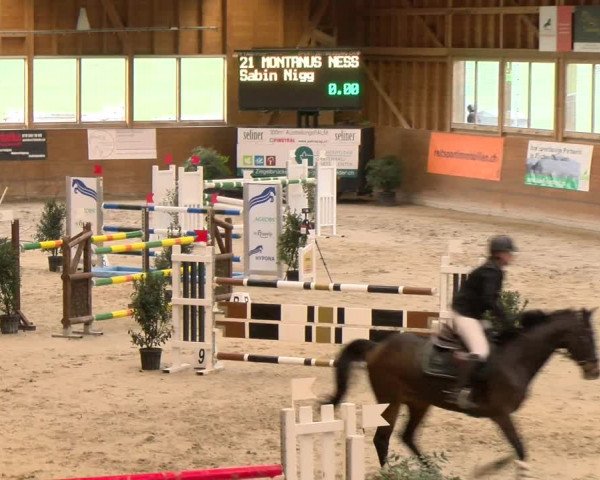 Reitturnier Rüti 2022