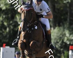 jumper Berni H (Westphalian, 2000, from Beltain)