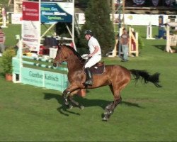 broodmare Nelly Olsen (Oldenburg, 2005, from Shamrock)