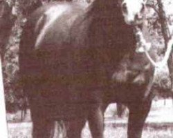 broodmare Christy Jay (Quarter Horse, 1967, from Rey Jay)