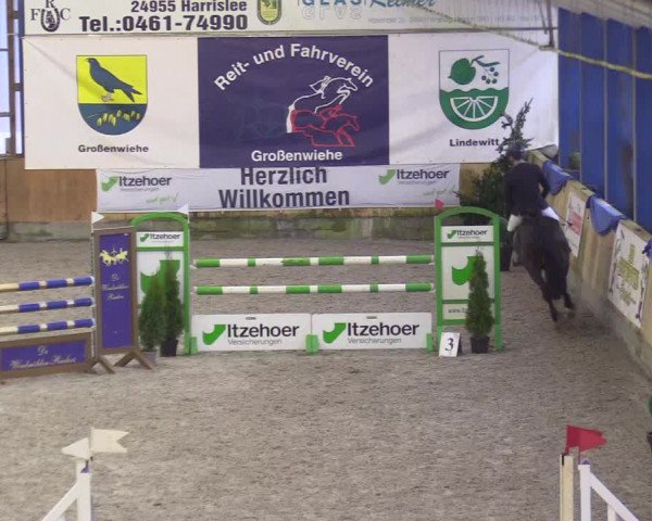 Reitturnier Großenwiehe 2022