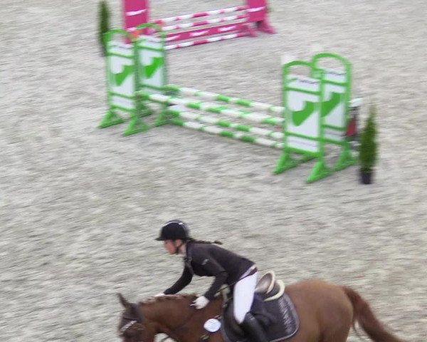Reitturnier Großenwiehe 2022