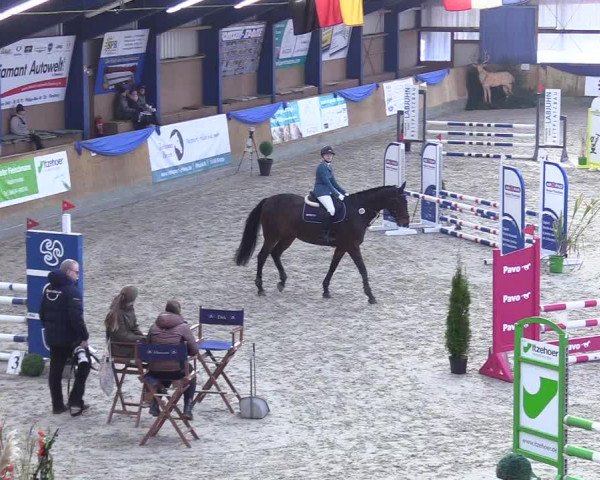 Reitturnier Großenwiehe 2022