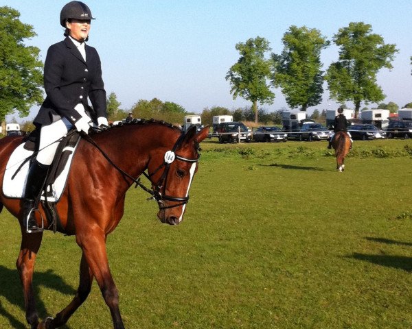horse Laconique M (Hanoverian, 2007, from Luecke)