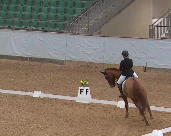 Reitturnier Kreuth/Opf. 2022