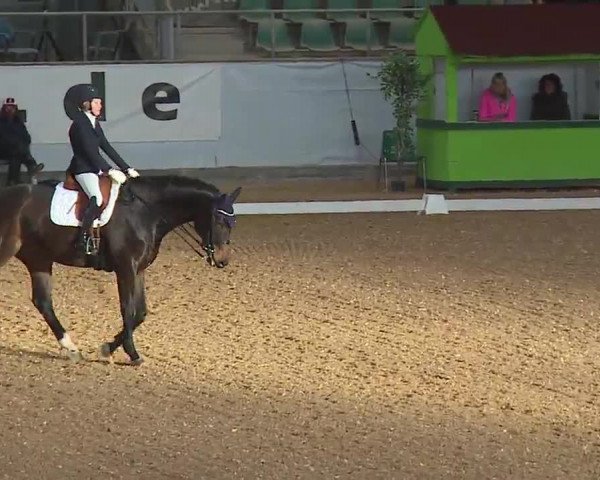 Reitturnier Kreuth/Opf. 2022
