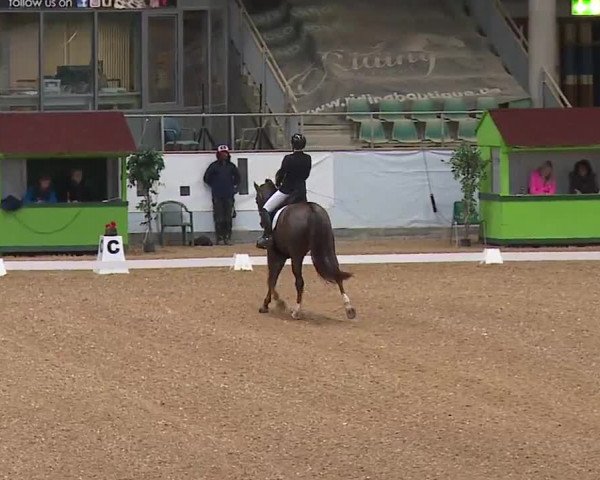 Reitturnier Kreuth/Opf. 2022
