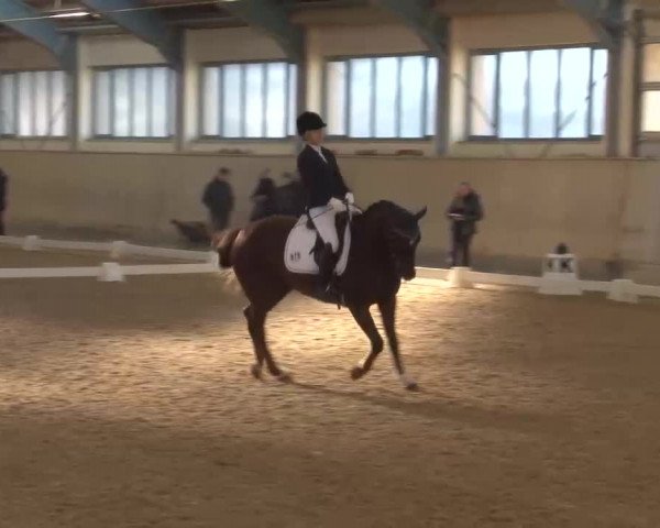 Reitturnier Kreuth/Opf. 2022