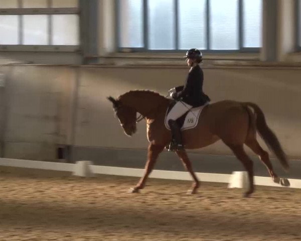 Reitturnier Kreuth/Opf. 2022