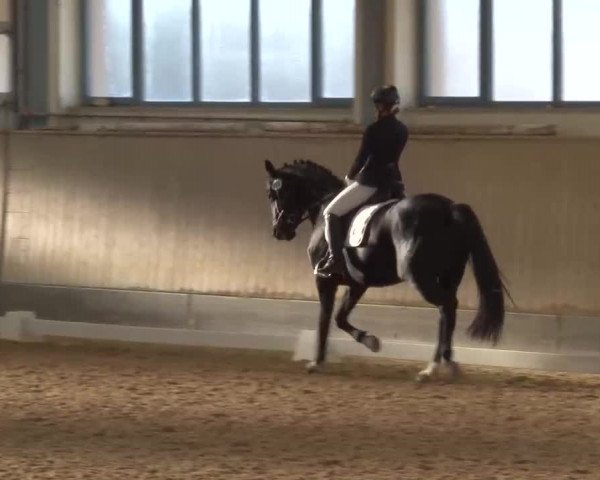 Reitturnier Kreuth/Opf. 2022