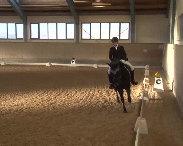 Reitturnier Kreuth/Opf. 2022