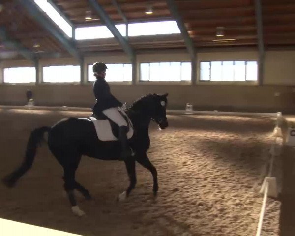 Reitturnier Kreuth/Opf. 2022