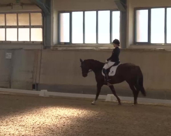 Reitturnier Kreuth/Opf. 2022