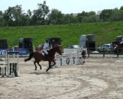 jumper Lucky 1228 (Westphalian, 2001, from Landjonker (Fruhling))