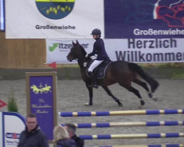 Reitturnier Großenwiehe 2022