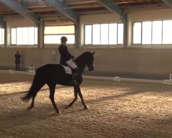 Reitturnier Kreuth/Opf. 2022