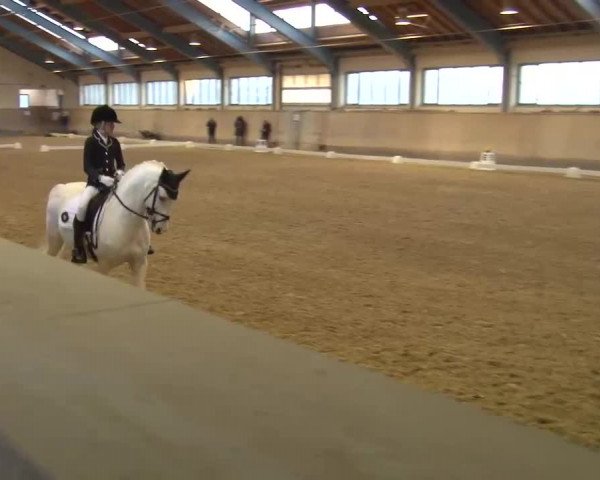 Reitturnier Kreuth/Opf. 2022