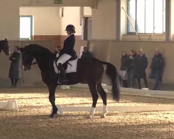 Reitturnier Kreuth/Opf. 2022