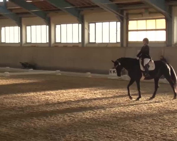 Reitturnier Kreuth/Opf. 2022