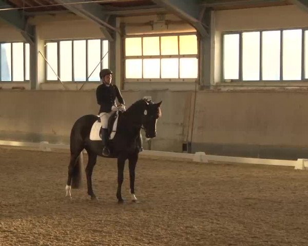 Reitturnier Kreuth/Opf. 2022