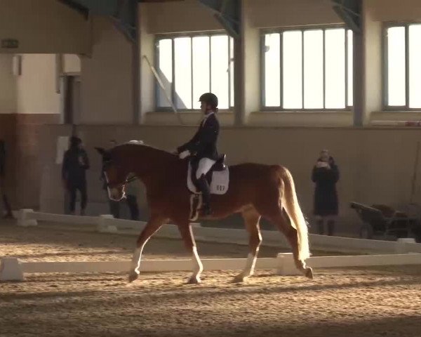 Reitturnier Kreuth/Opf. 2022