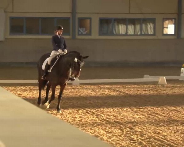 Reitturnier Kreuth/Opf. 2022