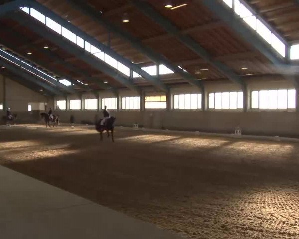 Reitturnier Kreuth/Opf. 2022